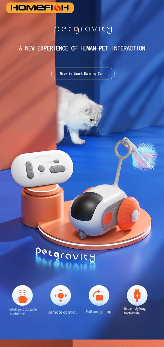 Smart Interactive Pet Chase Car