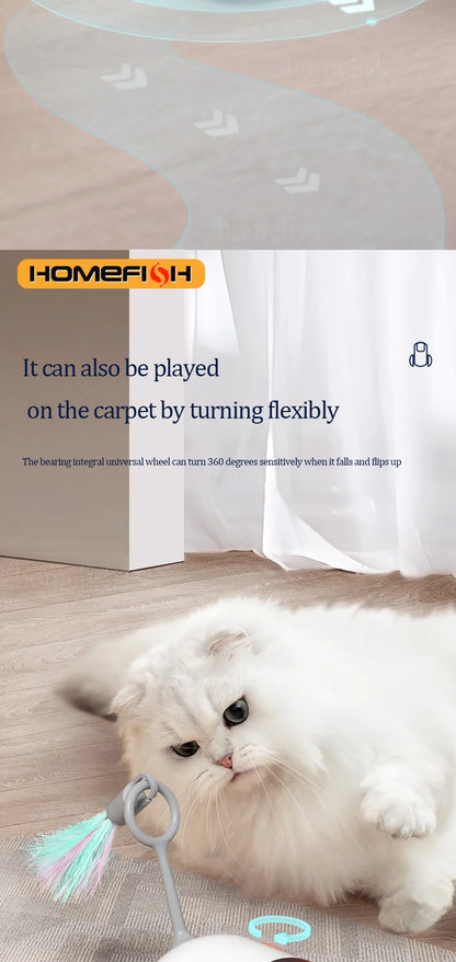 Smart Interactive Pet Chase Car